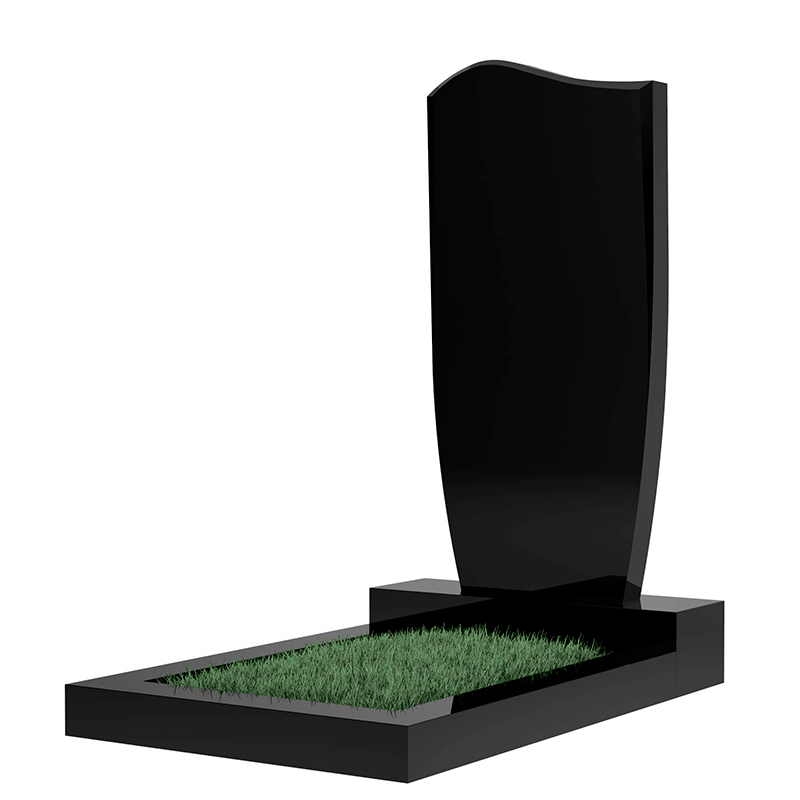 Памятник MS210